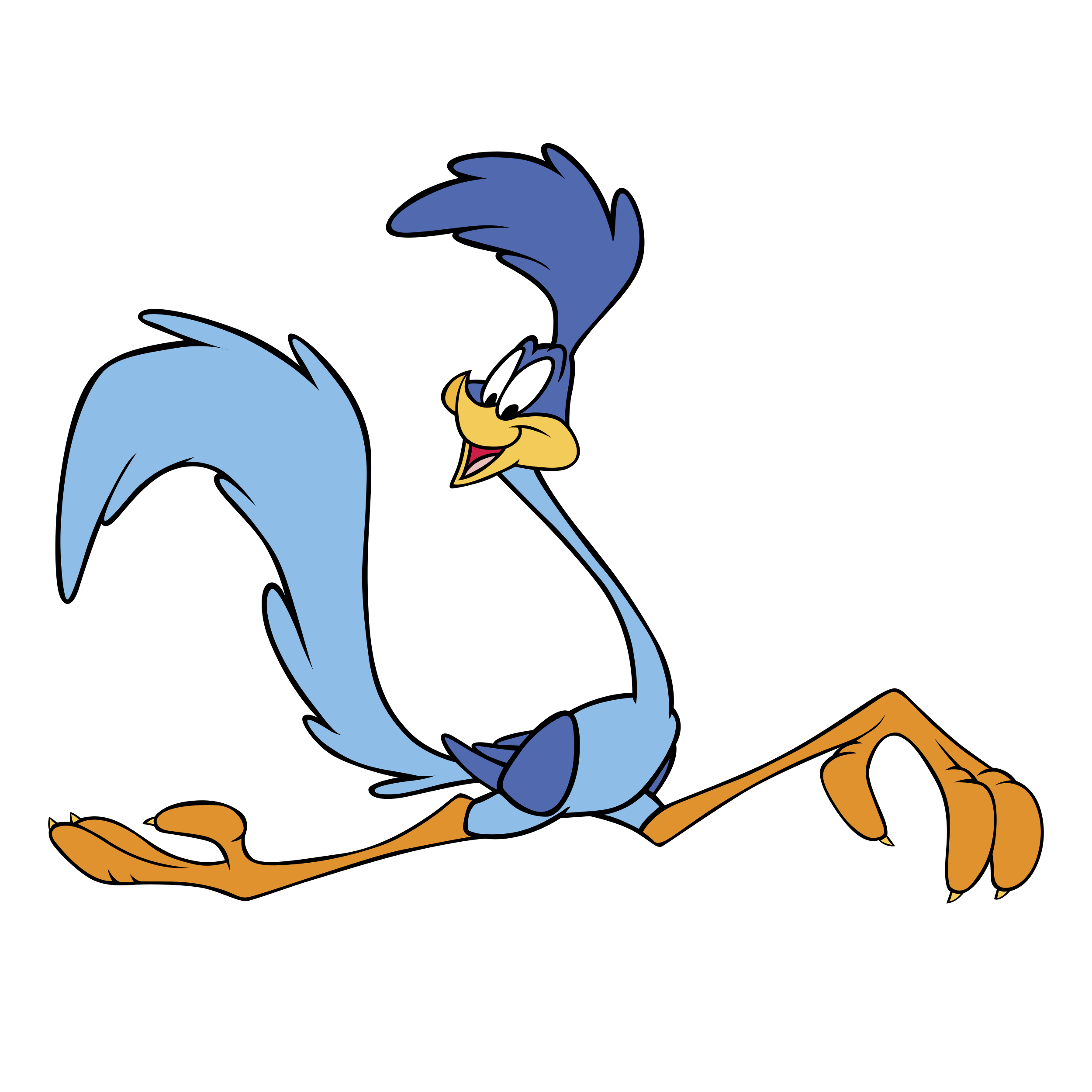 roadrunner